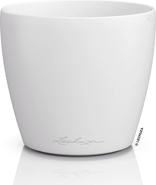 Lechuza Classico Color Deco 12