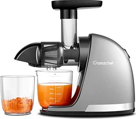 Amzchef ZM1501 Slow Juicer grün