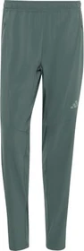 adidas DT4 Workout Trainingshose lang legend ivy (Herren)