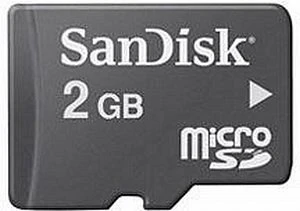 SanDisk microSD Class 2
