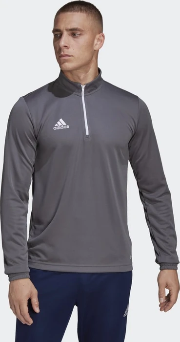 adidas Entrada 22 Training Funktionsshirt langarm team grey four (Herren)
