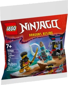 LEGO Ninjago - Arins Duell mit dem Drachenmenschen