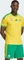 adidas FIFA WM 2026 Südafrika Heimtrikot kurzarm team yellow (Herren) Vorschaubild