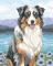 Ravensburger Malen nach Zahlen CreArt Australian Shepherd Merlin Vorschaubild