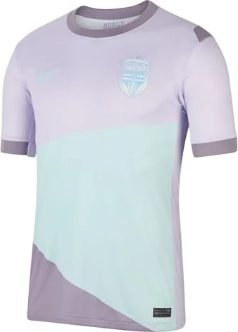 Nike UEFA EURO 2025 Norwegen Frauenteam Auswärtstrikot (Herren)