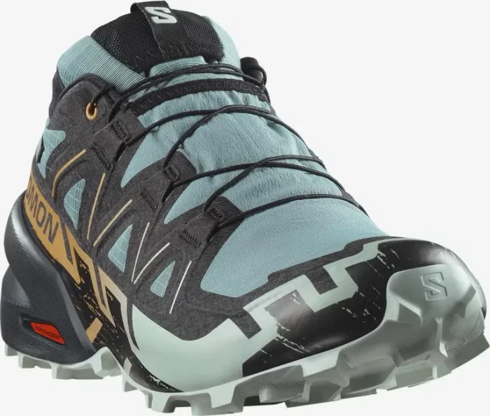 Salomon Speedcross 6 GTX trooper/black (Herren)