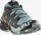 Salomon Speedcross 6 GTX trooper/black (Herren) Vorschaubild