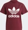 adidas Adicolor Classics Trefoil T-Shirt kurzarm shadow red (Damen) Vorschaubild