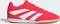 adidas Predator Club Sala IN lucid red/cloud white/core black (Junior) Vorschaubild