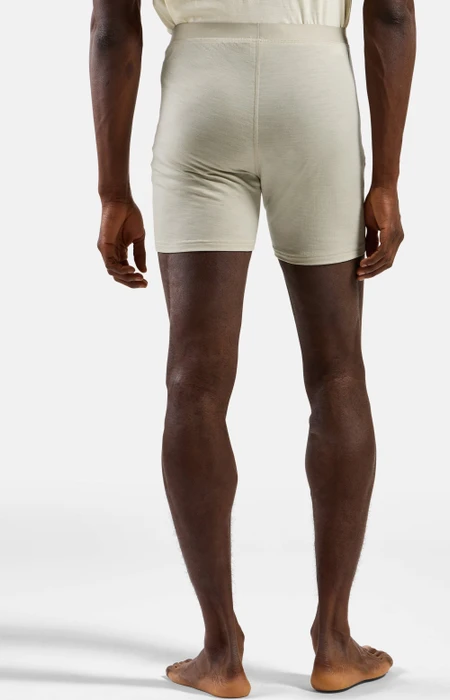 Odlo Natural Merino 160 Boxer Briefs agate gray (Herren)