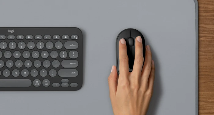Logitech Pebble 2 Combo for Mac schwarz/grau, Logi Bolt, USB/Bluetooth, DE
