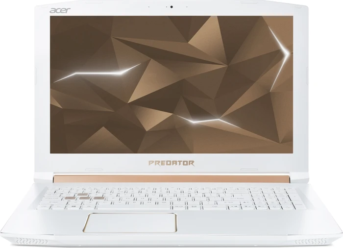 Acer Predator Helios 300 PH315-51