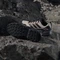 adidas Terrex Eastrail 3 Climaproof wonder white/core black/dual lilac (Damen) Vorschaubild
