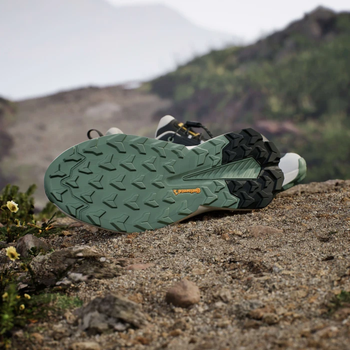 adidas National Geographic Terrex Trailmaker 2 GTX Speed Lace carbon/silver green/orbit grey (Herren)