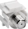 Wentronic Goobay Keystone Modul SAT/Antenne bündige Montage Vorschaubild