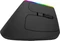 Ordissimo Ergonomic Vertical Wireless Mouse schwarz, USB Vorschaubild
