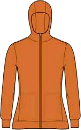 Icebreaker Merino Central Classic Zip-Hoodie Jacke langarm earth (Damen)