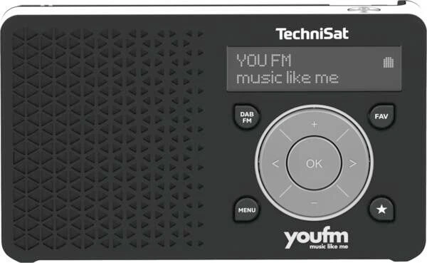 TechniSat DigitRadio 1