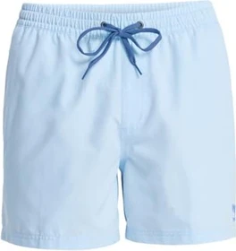 Quiksilver Everyday Solid 15" Badeshorts omphalodes (Herren)