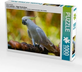 Calvendo Ein Motiv aus dem Kalender aves australis - Vögel Australiens