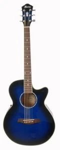 Ibanez AEG10E