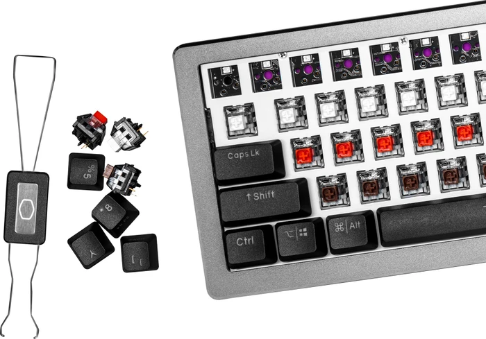 Cooler Master CK720, LEDs RGB, hot-swap, schwarz/grau, Kailh Box V2 BROWN, USB, US