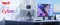 MeLE Cyber X1, N150, 16GB RAM, 512GB SSD Vorschaubild