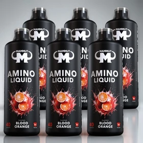 Mammut Nutrition Amino Liquid 1000ml