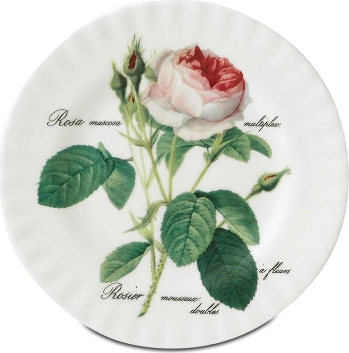 Roy Kirkham Redoute Rose Frühstücksteller 20cm