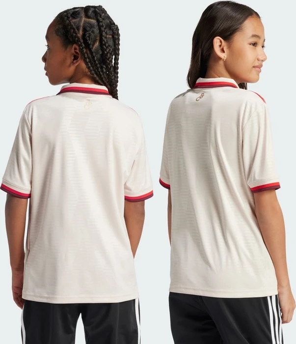 adidas FC Bayern München 2024/2025 Ausweichtrikot linen (Junior)