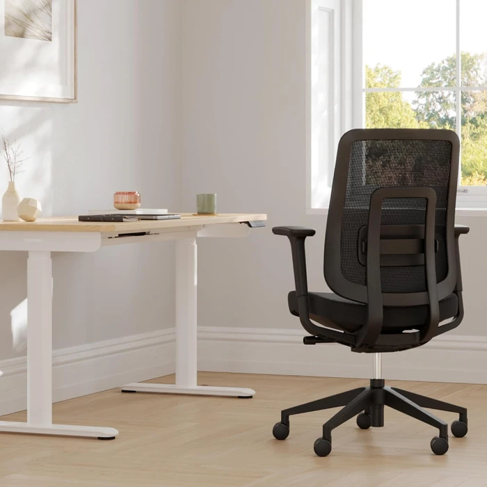 Ergotopia PureBack ergonomischer Bürostuhl mit Kopfstütze, schwarz