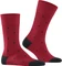 Falke Dot Socken scarlet (Herren) Vorschaubild