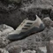 adidas Eastrail 2.0 wonder beige/grey six/bronze strata (Herren) Vorschaubild