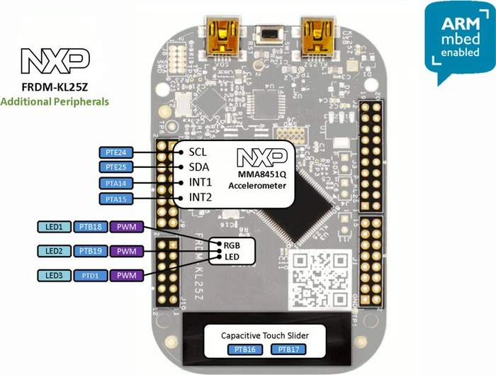 NXP Freedom