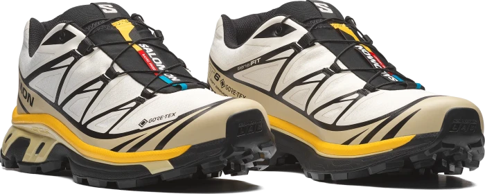 Salomon XT-6 GTX vanilla ice/bog/shadow green