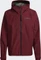 adidas Terrex Gore-Tex Paclite Jacke (Herren) Vorschaubild