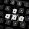 Das Keyboard 5Q, Omron Gamma-Zulu, USB, DE Vorschaubild