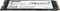 Patriot P300 256GB, M.2 2280 / M-Key / PCIe 3.0 x4 Vorschaubild
