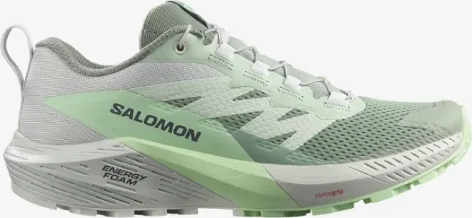 Salomon Sense Ride 5 lily pad/metal/green ash (Damen)