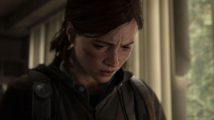 The Last of Us: Part II - Special Edition (PS4)