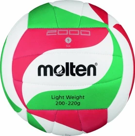 Molten V5M2000 Volleyball