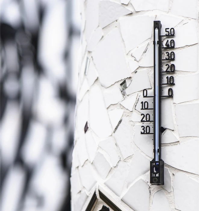 Hama Baumstruktur Wetterstation 16cm, analog