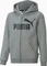 Puma Essentials Big Logo Hoodie (Junior) Vorschaubild