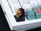 Keychron Kitty Paw Alu Alloy Artisan Keycap, Aluminium, Silikon, gold/rosa/schwarz, 1 Taste Vorschaubild