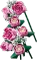 LEGO Botanicals - Rosa Rosenstrauß Vorschaubild