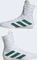 adidas Box Hog 4 cloud white/collegiate green/core black Vorschaubild
