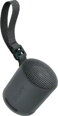 Sony SRS-XB100 schwarz
