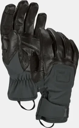 Ortovox Alpine Pro Skihandschuhe black raven