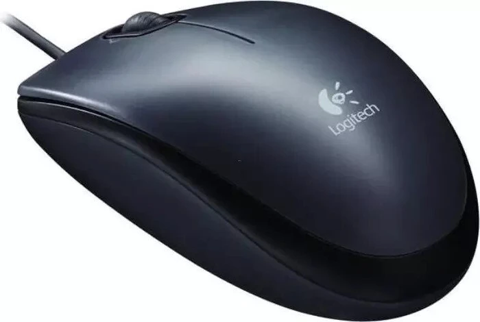 Logitech M100 V2 Refresh Optical Mouse dunkelgrau, USB