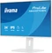 iiyama ProLite XB2497HSN-W1, 23.8" Vorschaubild